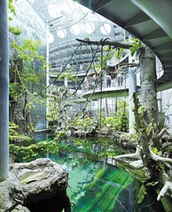 旧金山长出绿色建筑3