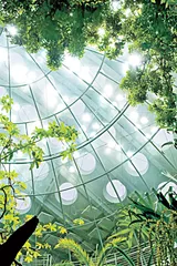 旧金山长出绿色建筑6