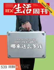哪来这么多钱