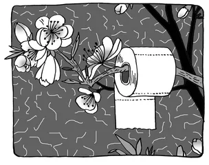 桃花劫