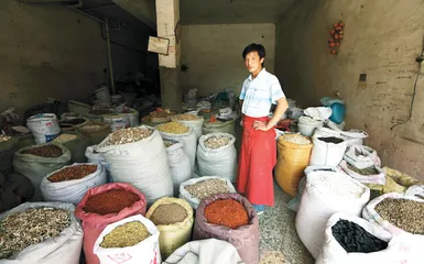 禹州药材市场调查3