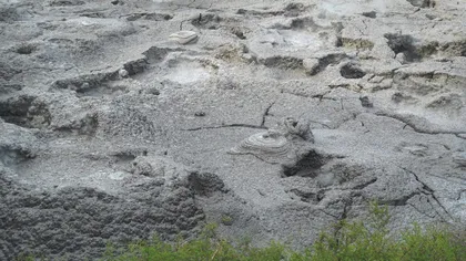 火山谷漫游记10