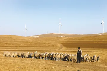 乌兰察布的风电发展故事3