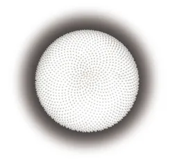 好东西(522)2