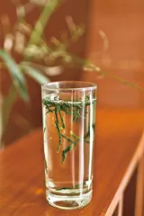 六安瓜片：最复杂的绿茶