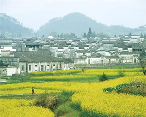 皖西茶叶的地理与谱系
