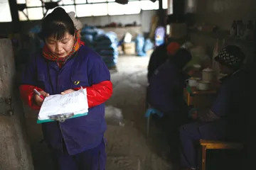 1万头猪：丁磊的“开源”实验1