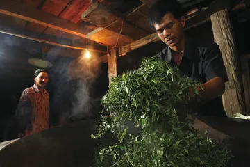 普洱：茶马古道的岁月茶香3