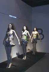 作为跨学科媒介的衣服2