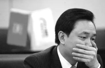 黄光裕的资本王国3