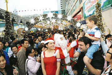 2009，中国服务业正等待崛起