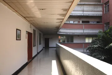 从乡村到城市6