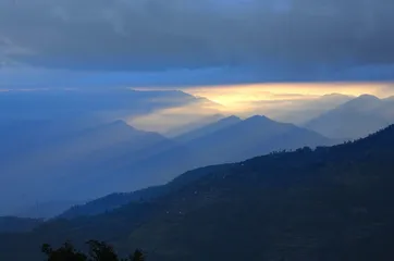 高黎贡山的白眉长臂猿3
