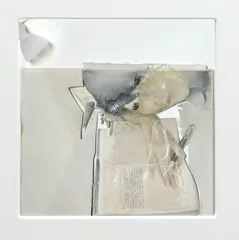 宋琨：我们画的都是皮1