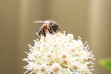 好消息·坏消息（517）