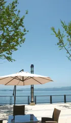 自然资源的独有和共享