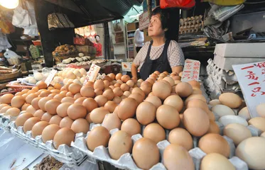 鸡蛋、三聚氢胺和饲料：尚未清晰的传导机制