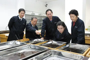 战国竹简历险记