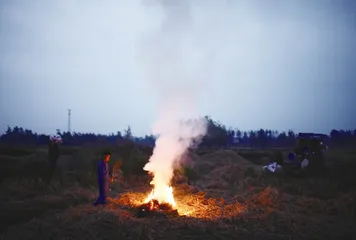 次子严德宝:回归土地3