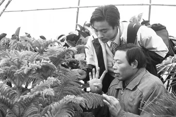 小五严德锦:外面的世界与想象
