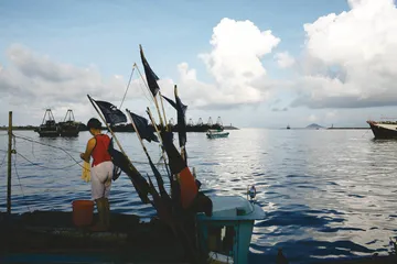 中华白海豚——水中的大熊猫
