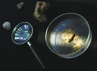 “农村土地问题不能操之过急” ——专访国务院研究中心农村经济研究部副部长徐小青