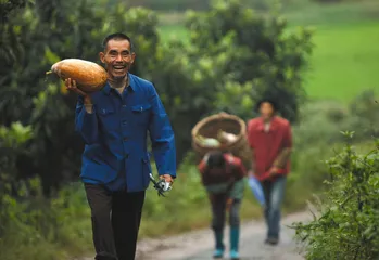 麒麟村试验:土地流转的乡村变局2