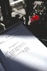 消失的胰腺癌：张磊的诉讼1