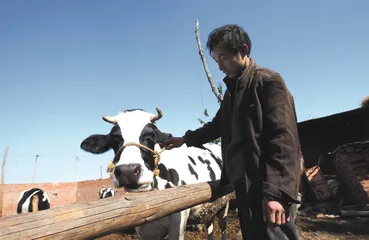 田文华和三鹿模式的再考察