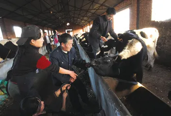 田文华和三鹿模式的再考察1