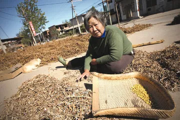 田文华和三鹿模式的再考察2
