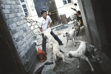 浪川狩猎记
