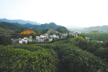 浪川狩猎记4