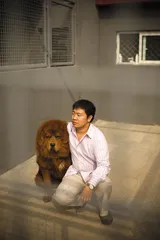 张伯虎和他的千万獒园