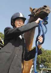马术3