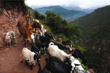 一个“政策性贫困”的小山村