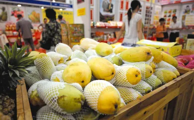 两岸直航:经济收益的短期与长期3