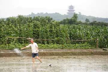 江油大撤离记1
