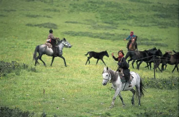 灾后震区踏访之四—— 从九寨沟到马尔康0