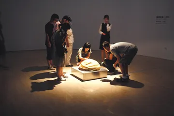 合成时代——国际新媒体艺术大展2