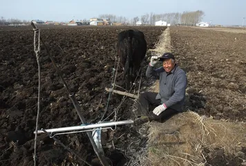 五常大米为什么好吃