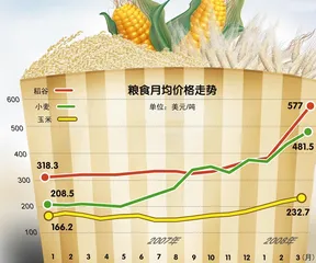 “手中有粮，心里不慌” ——中国储备粮管理总公司总经理包克辛谈中国的粮食调控1