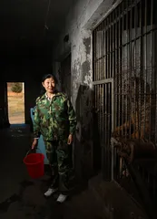 东北虎家园的烦恼2