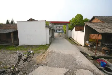 当阳市长的交通肇事事件1