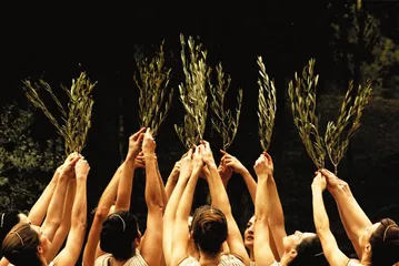 希腊，所有荣誉归于橄榄树2