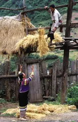 恍如隔世3