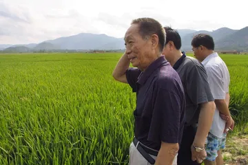 一个产粮大省的历史与现实2
