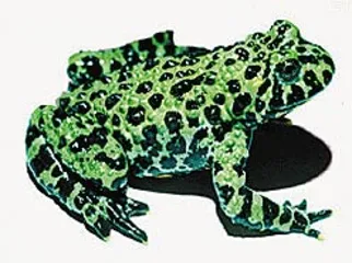 好消息·坏消息 （476）3