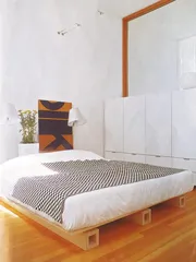 ​沼泽地上建一座世外桃源3