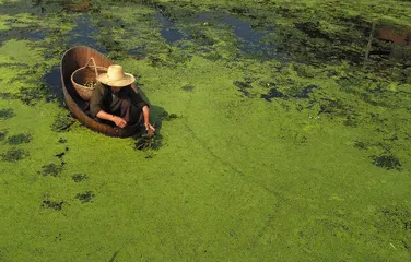 ​一个湖泊的艰难生存